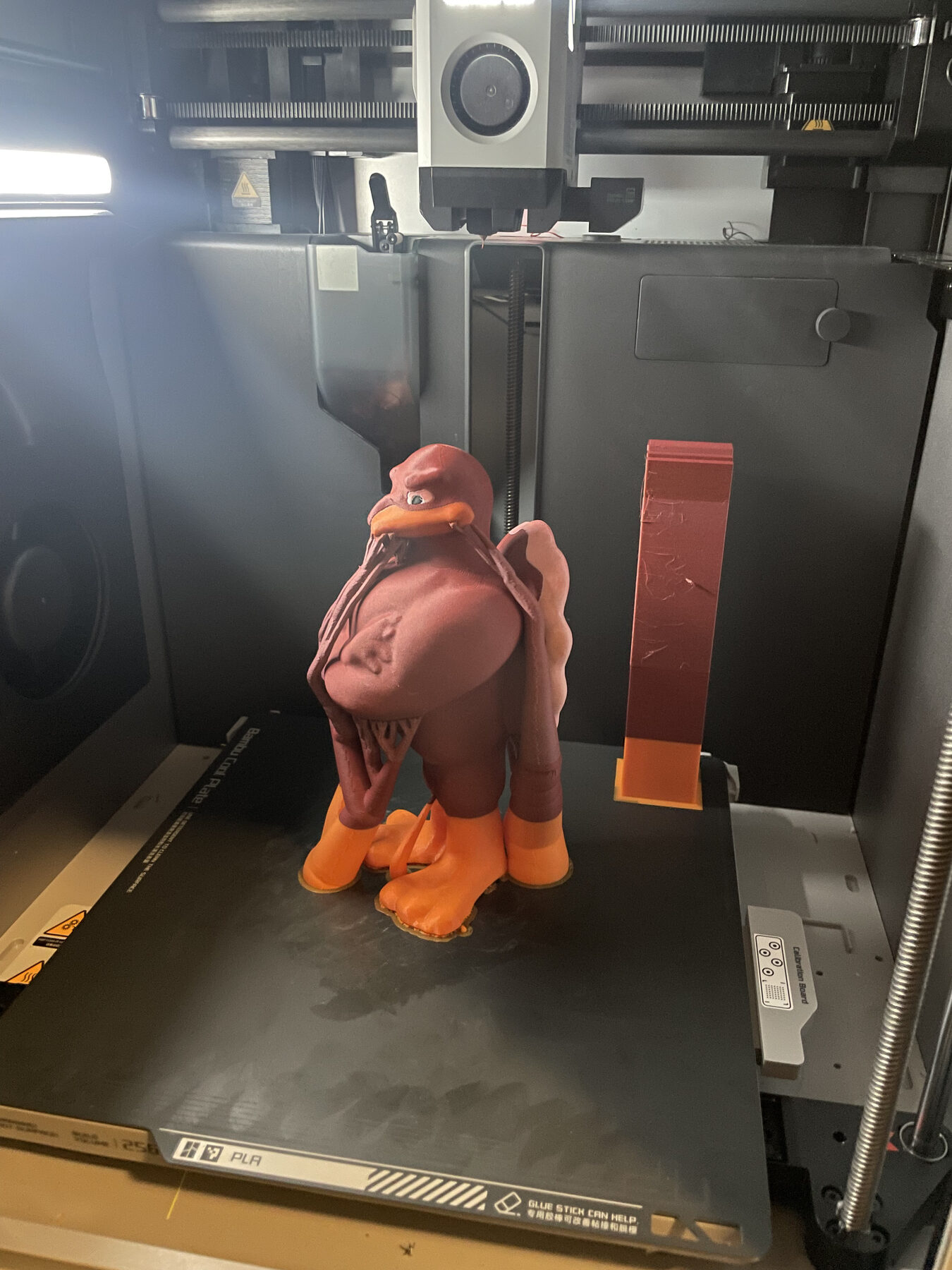 First colorful Hokiebird print