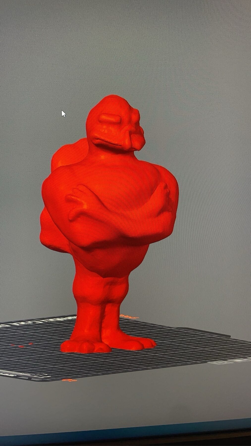 Early print — unsmoothed mesh