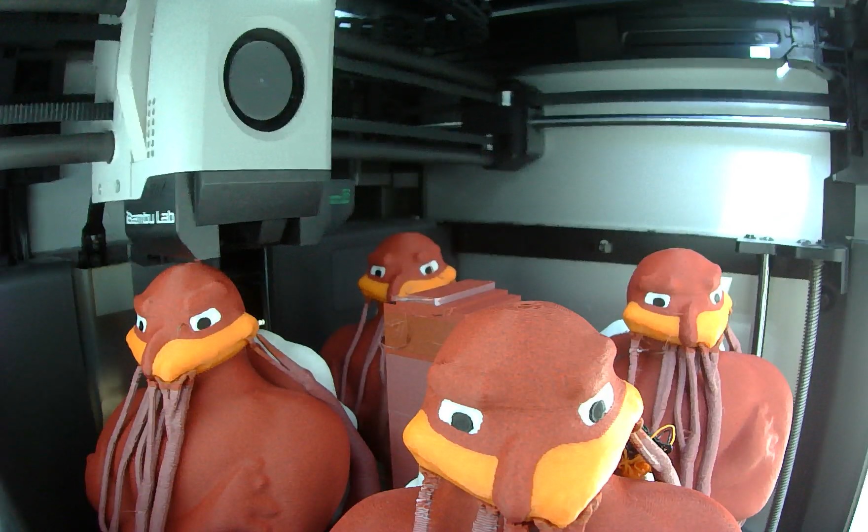Freshly printed Hokiebirds